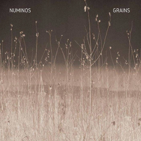 NUMINOS Grains LP
