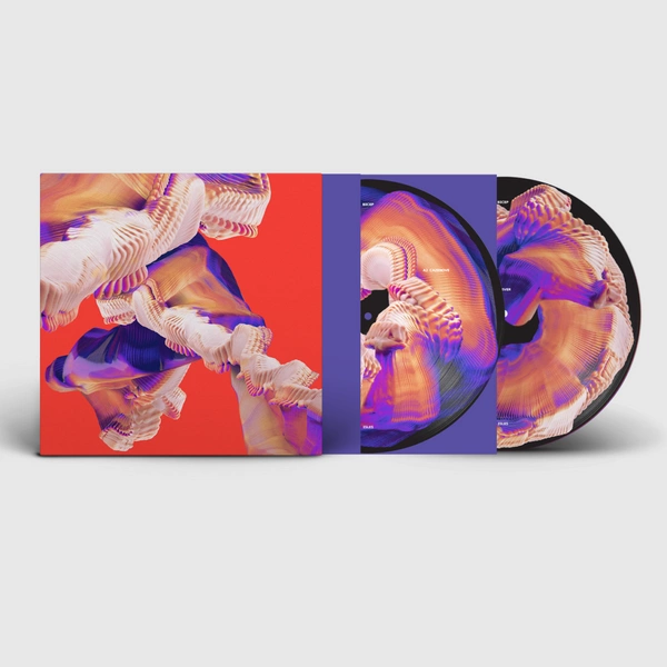 BICEP Isles 2LP PICTURE DISC