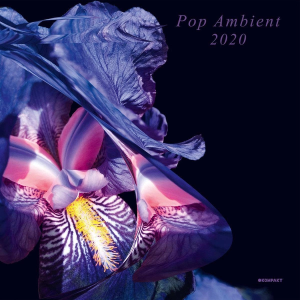 V/A Pop Ambient 2020 2LP