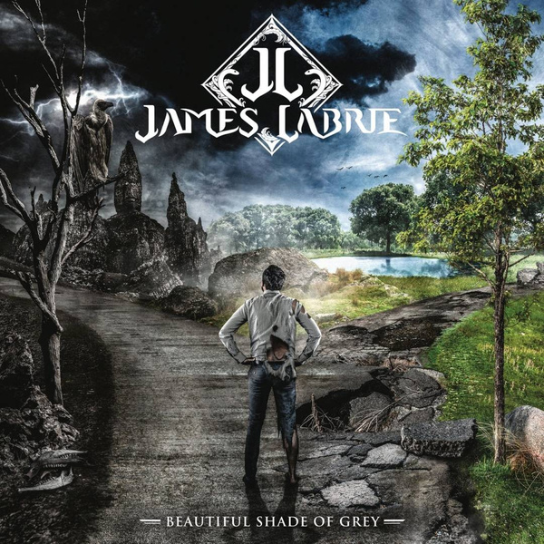 LABRIE, JAMES Beautiful Shade Of Grey 2LP